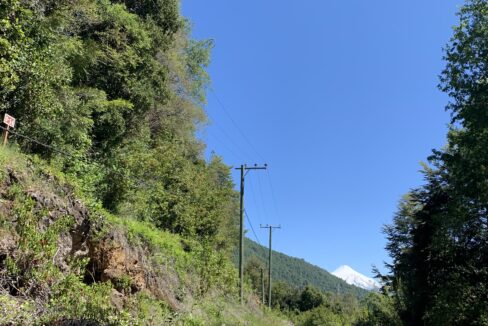 IMG_3484